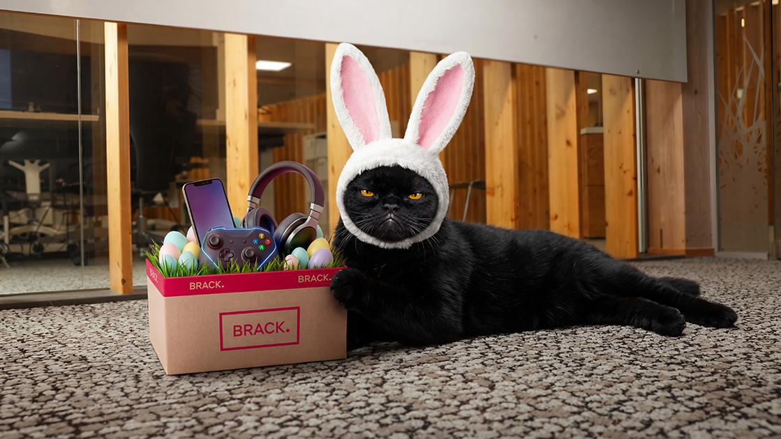 blacky-ersetzt-bei-brack-den-osterhasen-kann-eine-katze-berhaupt