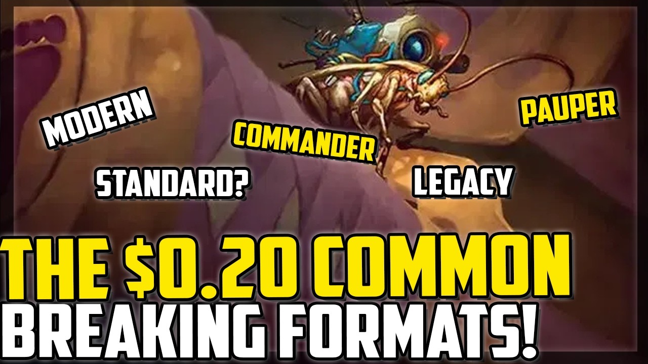 Why This Cheap Common Is Suddenly Dominating Formats