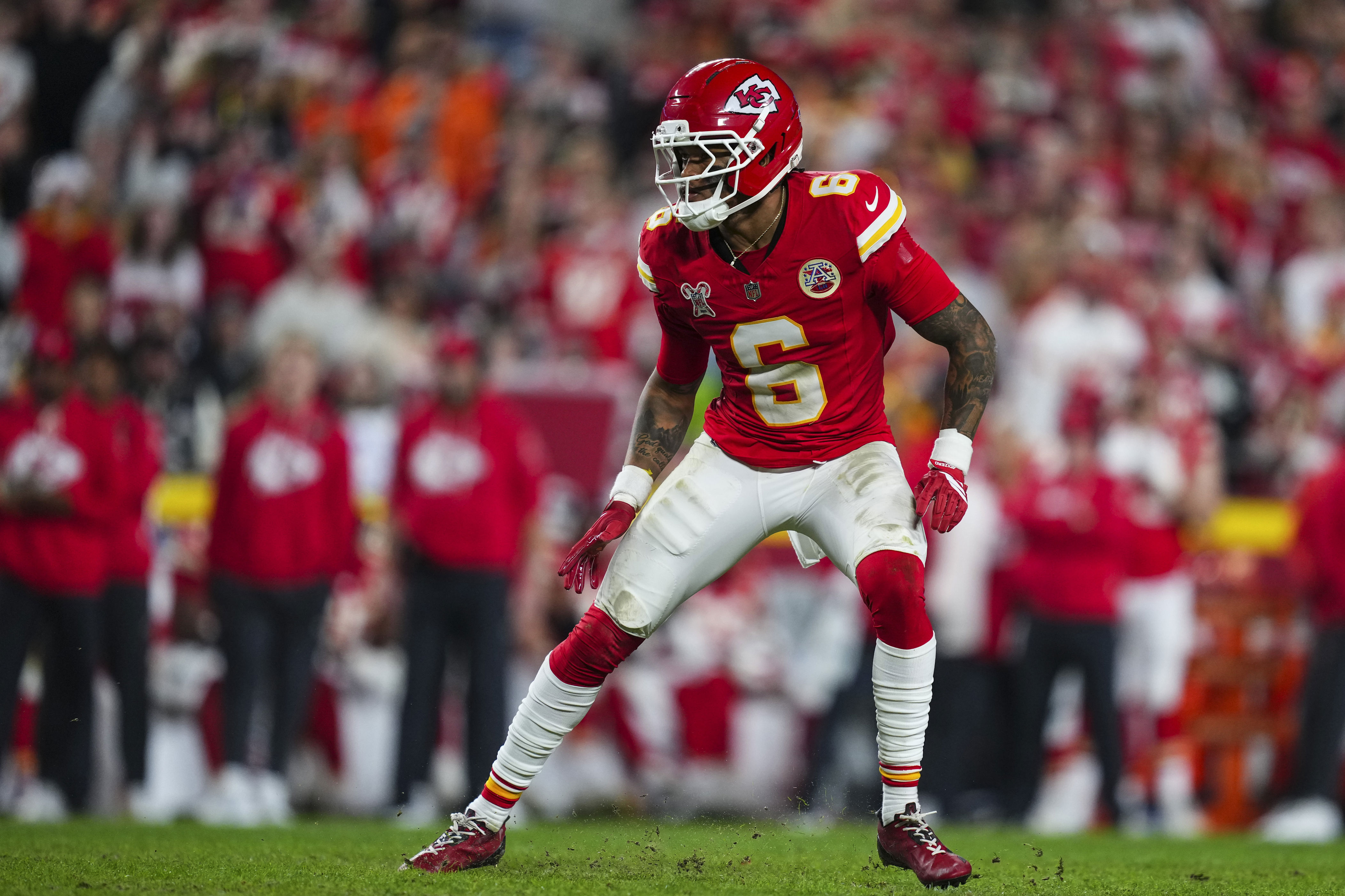 NFL free agency tampering day 2 open thread and Bengals news