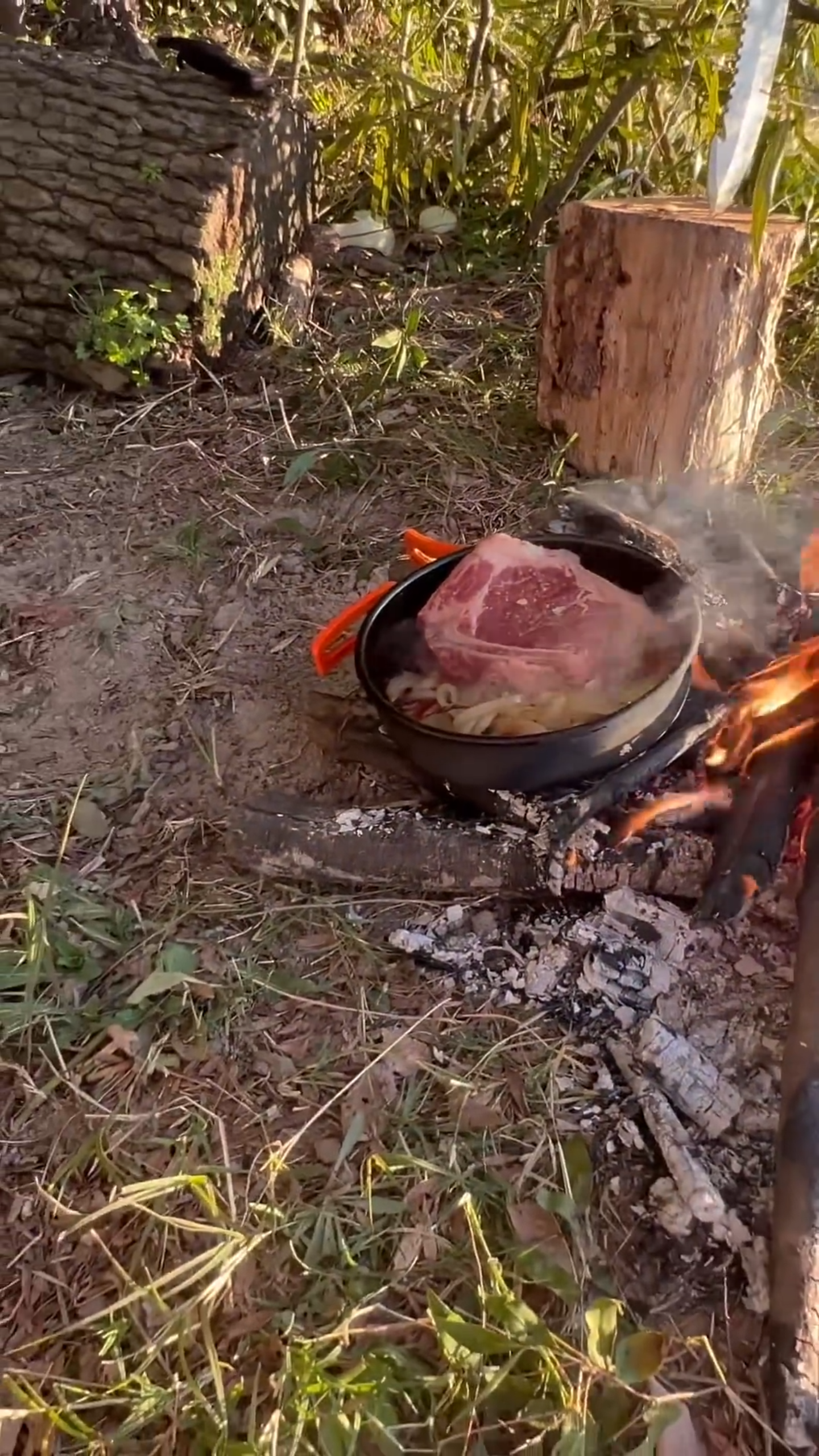 Refugio en el río y asado de carne salvaje