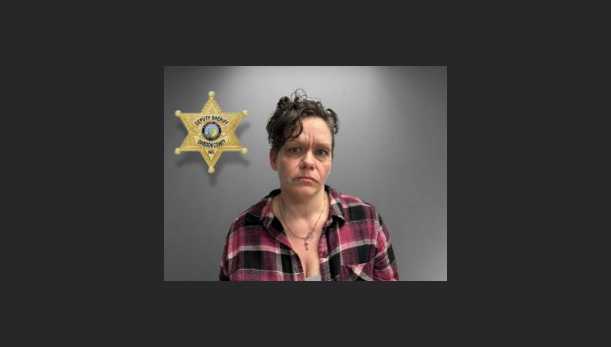 Traffic violation turns into multiple charges for woman after what was ...