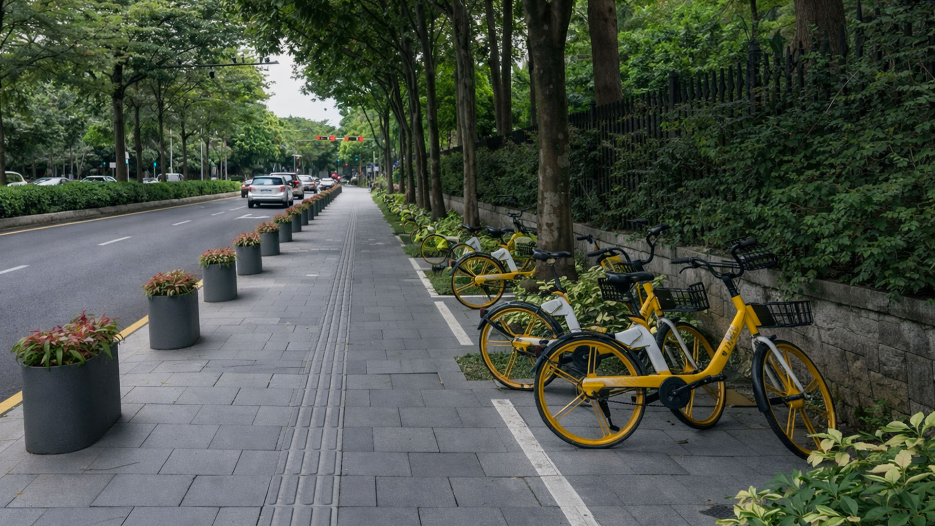 Filas de bicicletas amarillas en las aceras de China