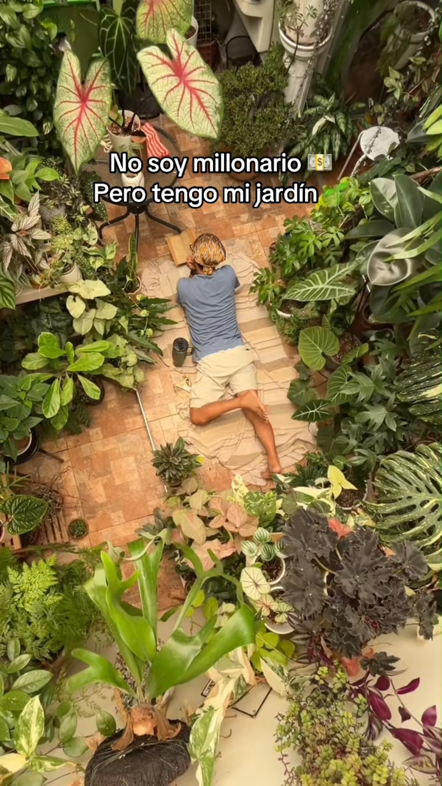 La riqueza que crece: 4 lecciones de cuidar plantas