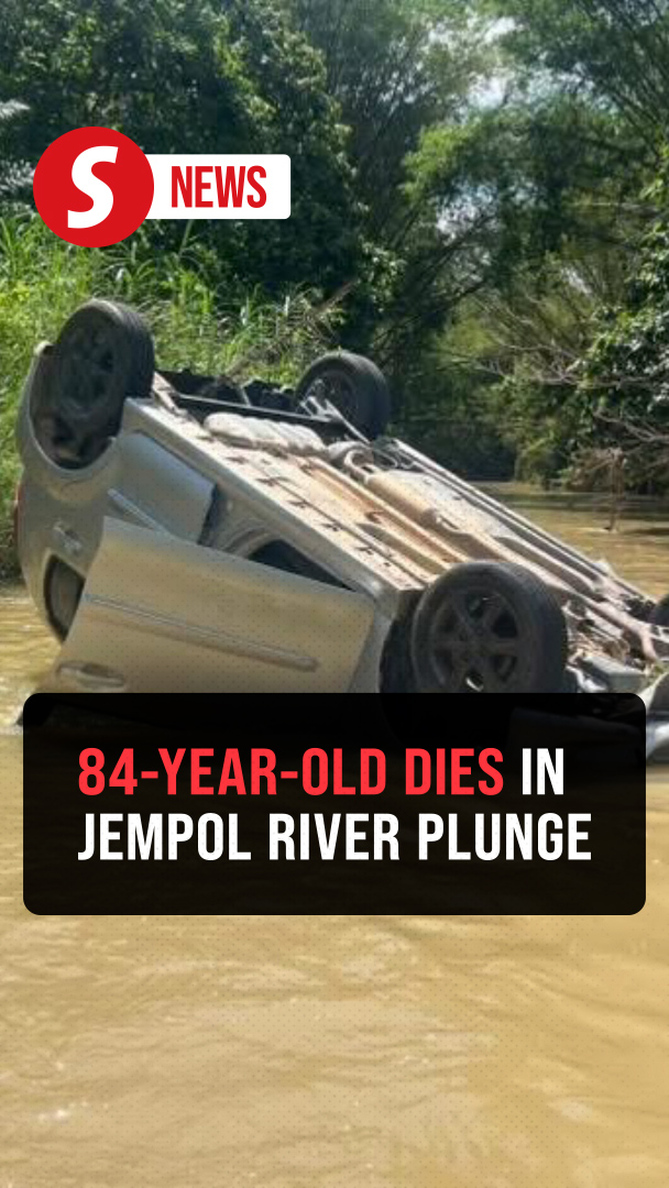 Senior citizen dies after car plunges into river in Jempol