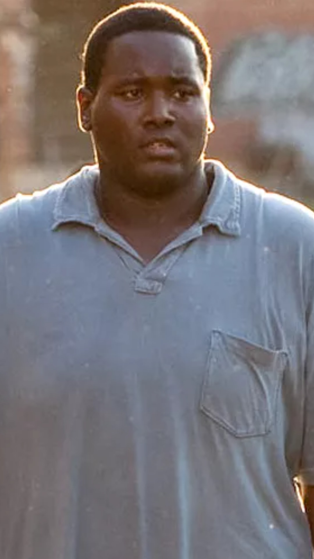 The blind side totally lied to you