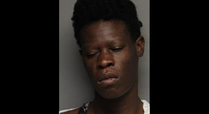 Woman arrested after daylight robbery in downtown Wilmington<br><br>