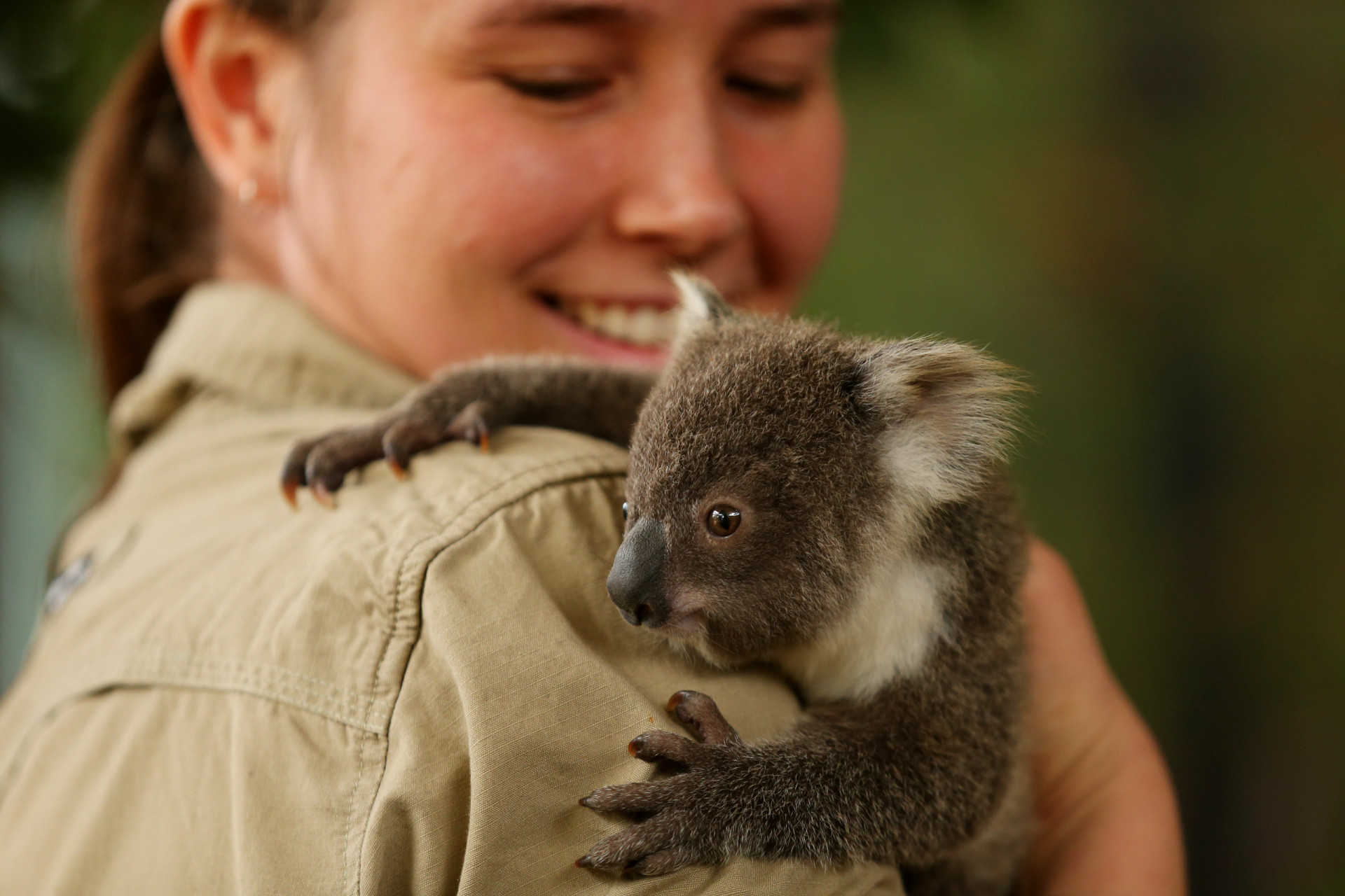 Voici les animaux les plus inutiles du monde