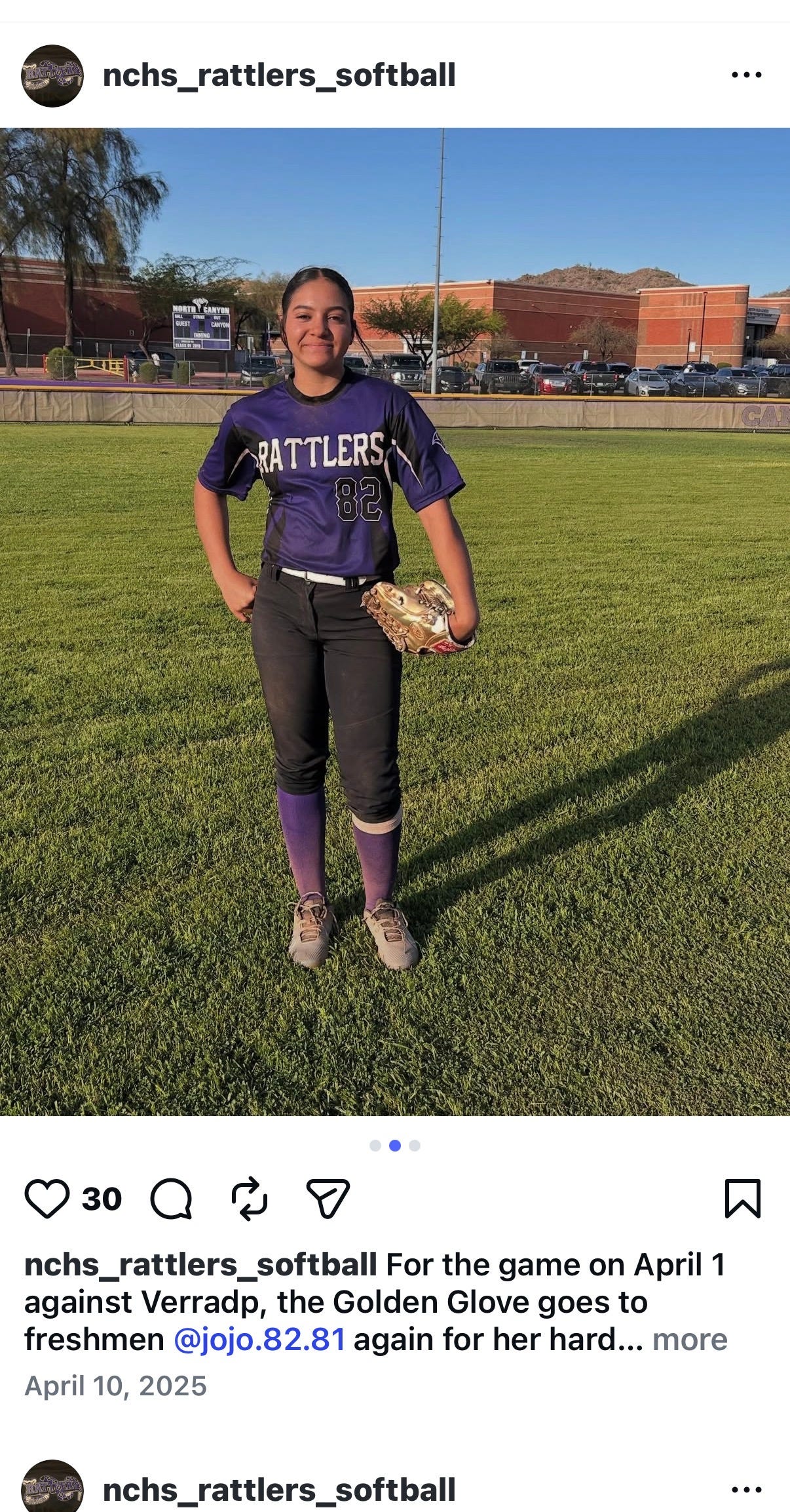 Vote for The Arizona Republic's top 10 HS softball players, March 2-7