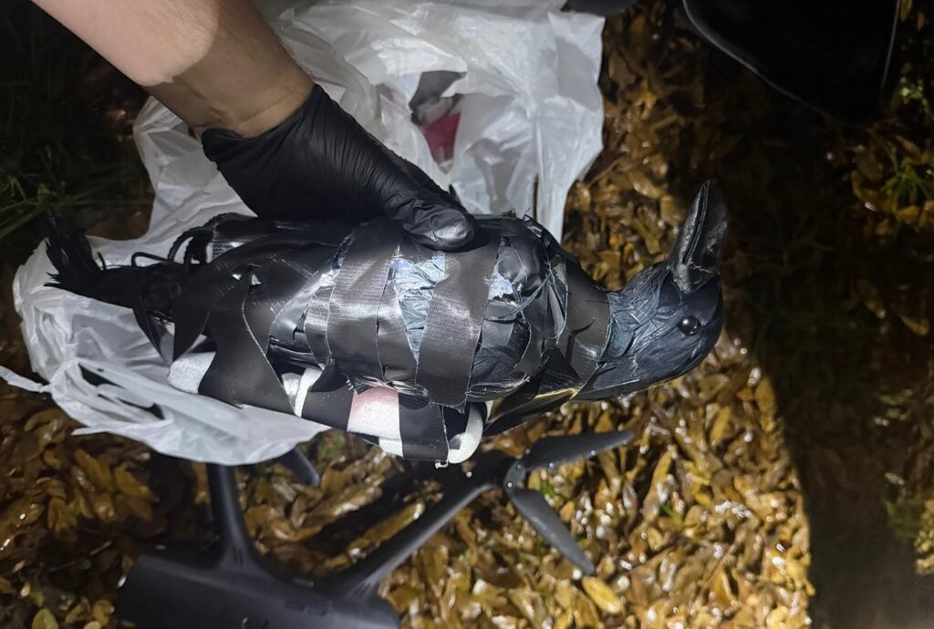 Two Texas women busted for using crow drones to drop prison contraband