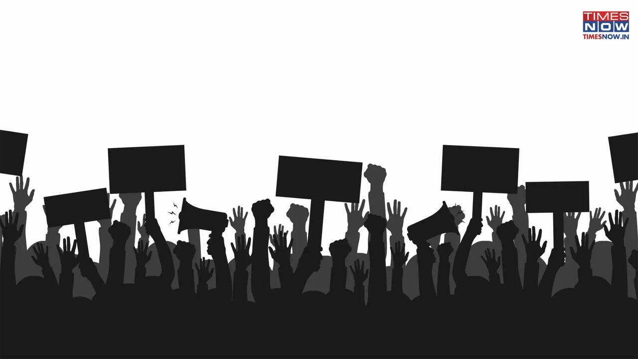 Delhi: Ambedkar University students hold protest over 2025 expulsion case