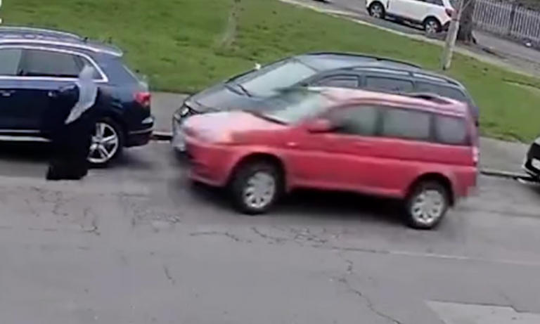 Police launch hunt for driver after car ploughs into woman in sickening ...