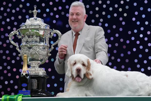 Somerset dog announced as best in show at Crufts 2026