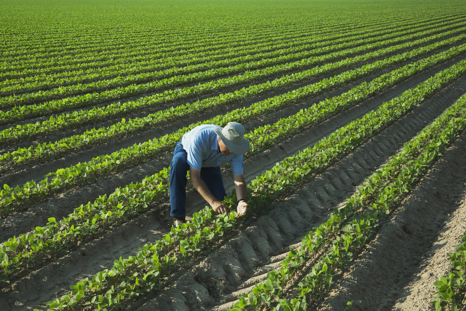 Fertilizer prices skyrocket: Iran war could have profound impact on ...