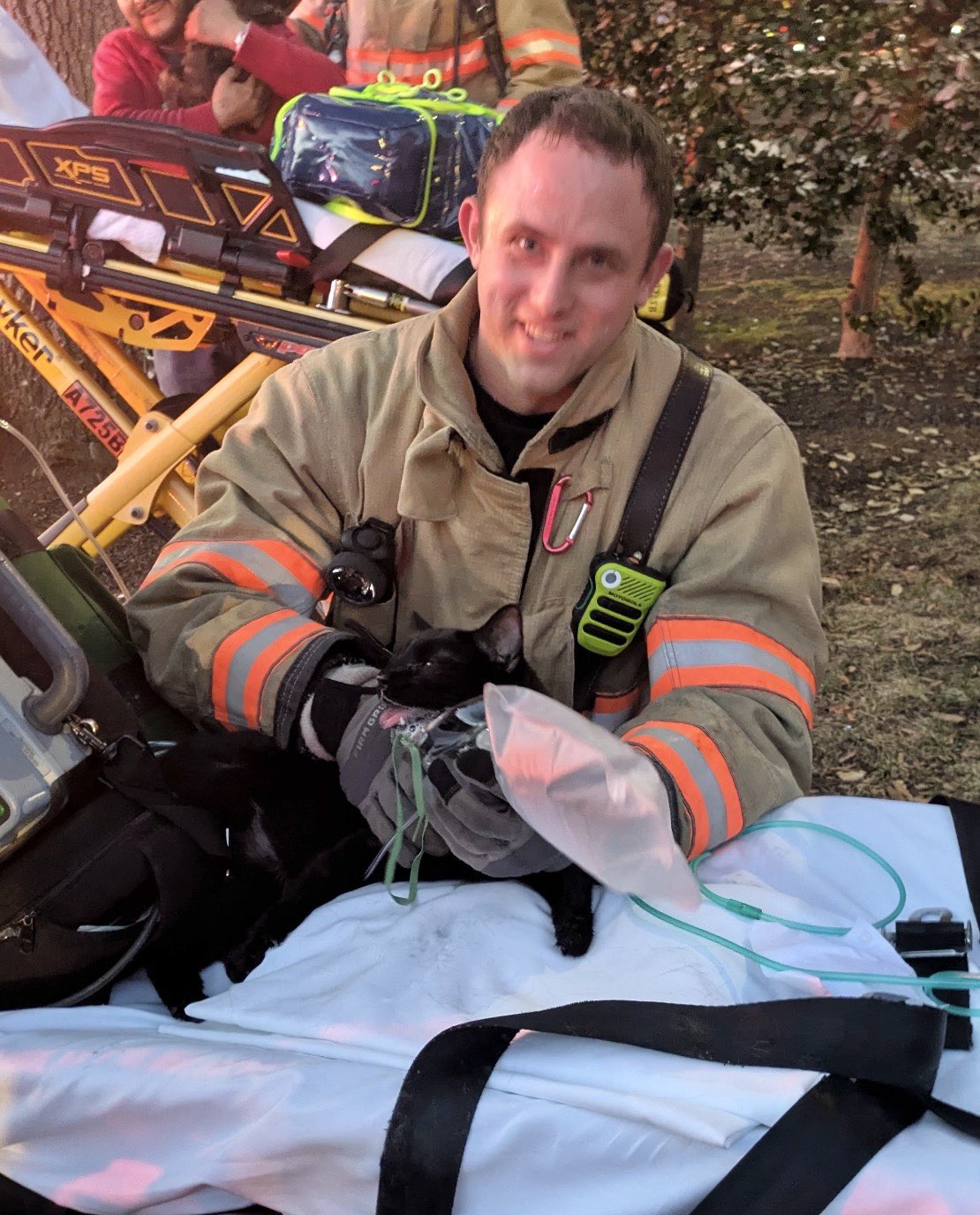 Family displaced, several cats rescued after apartment fire in Aspen Hill