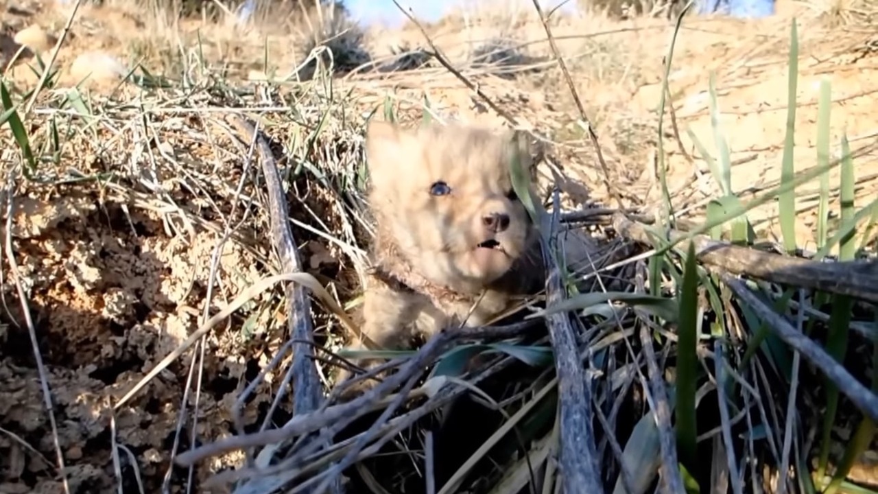 She was scared, shaking, and refused to settle down