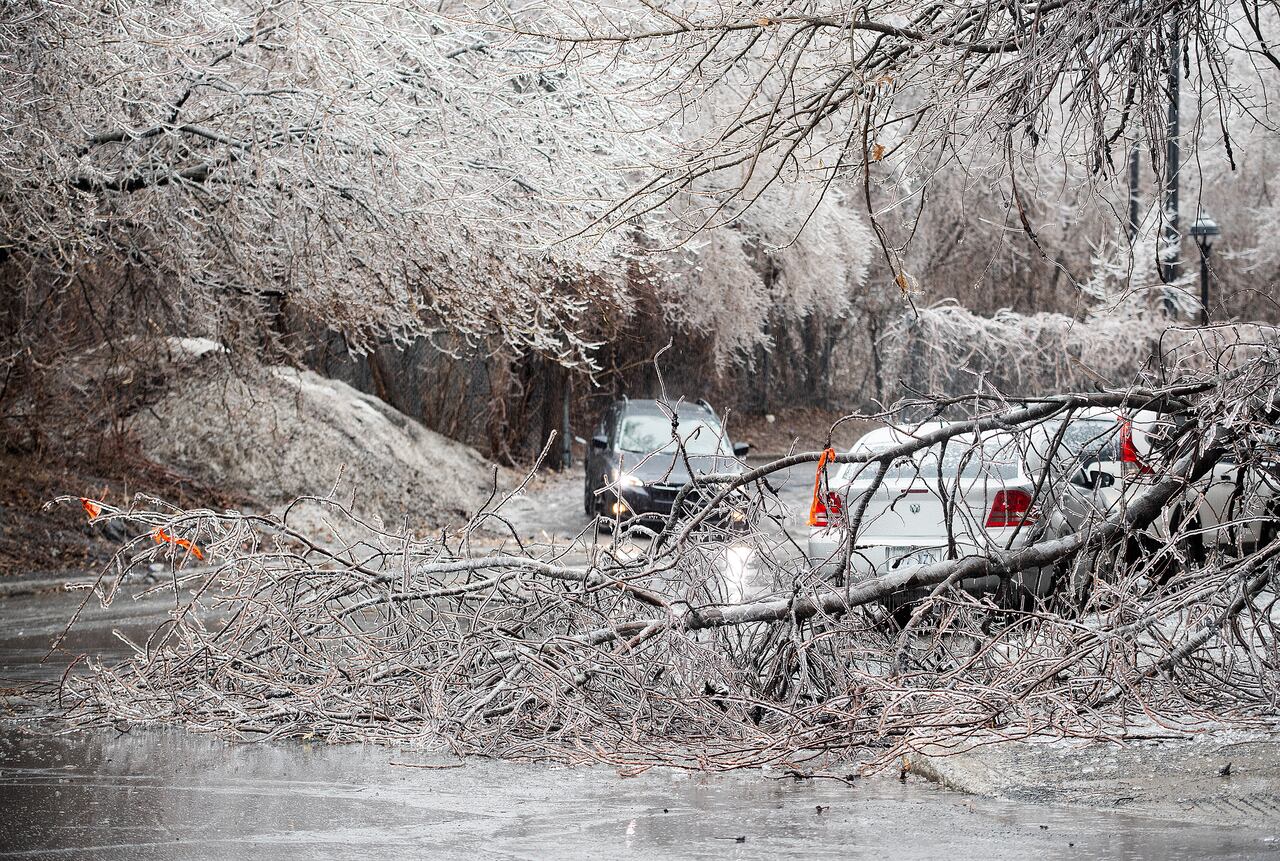 Environment Canada issues 'orange alert' for freezing rain storm in Quebec