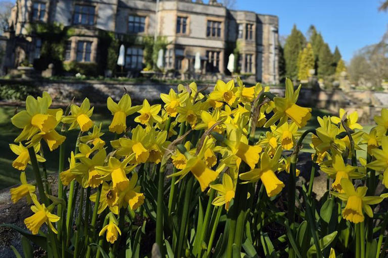 Two gardening jobs UK households should do by end of March for a ...