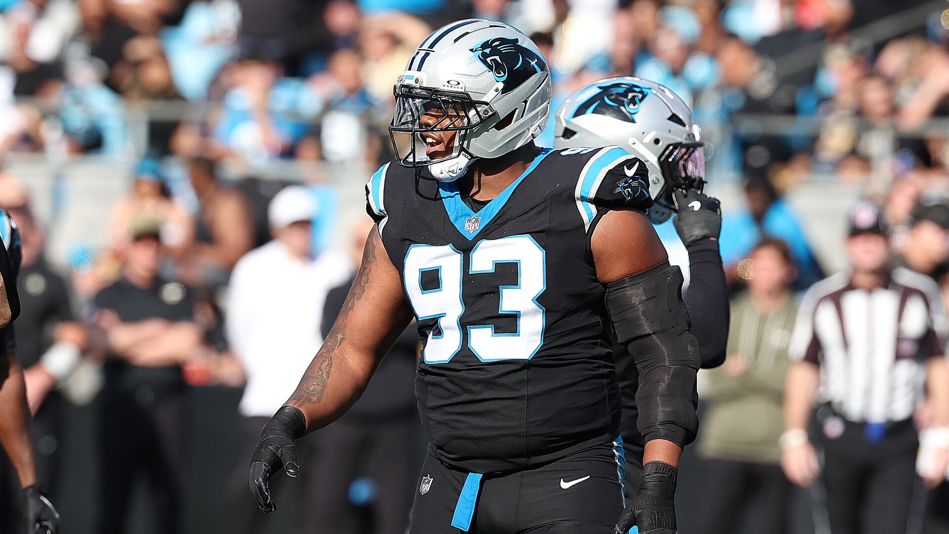Panthers re-sign LaBryan Ray, Robert Rochell