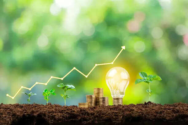Energy saving tips every homeowner should know to reduce bills