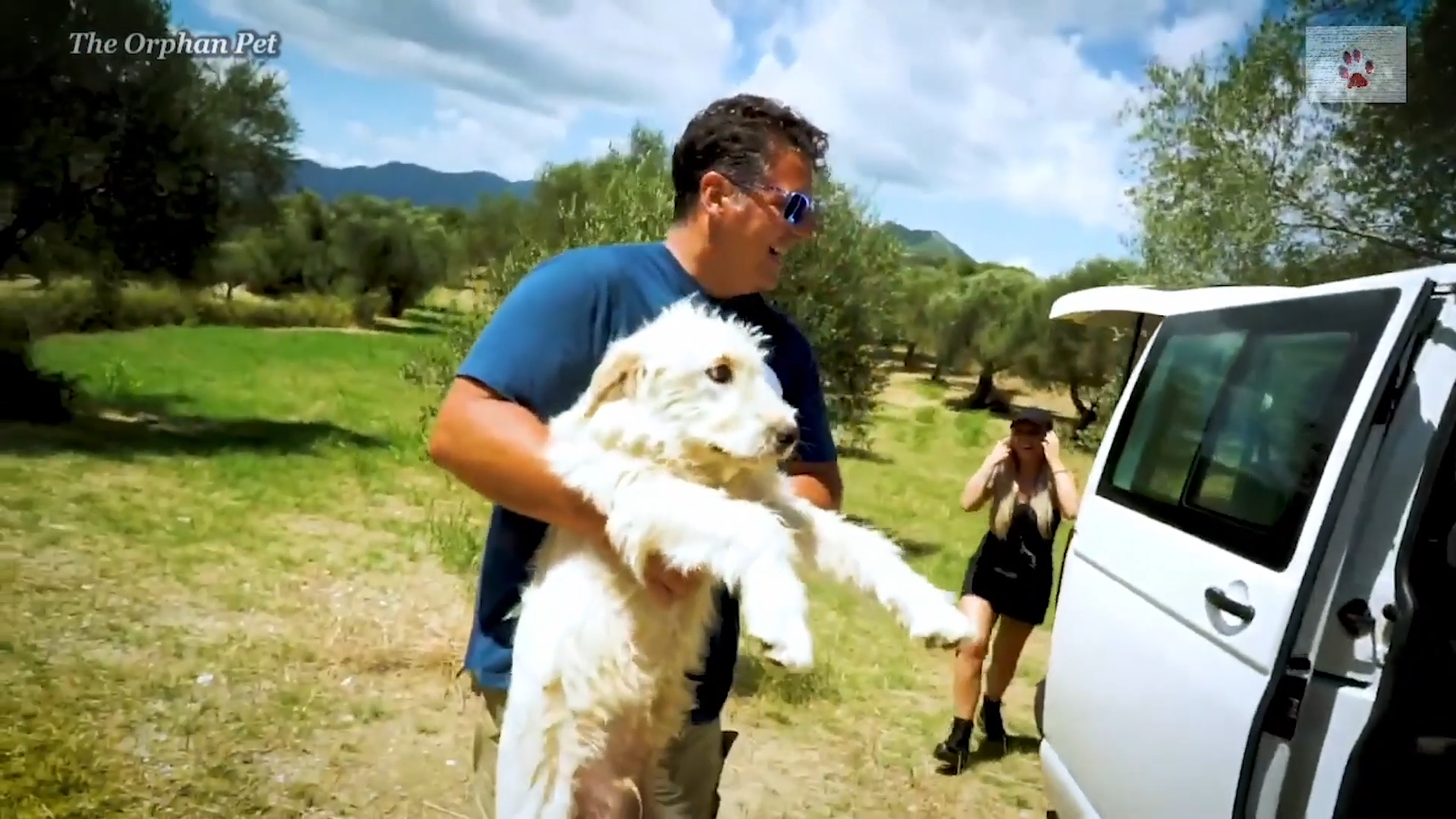 He belongs here! - The stray dog rescue that sparked a debate
