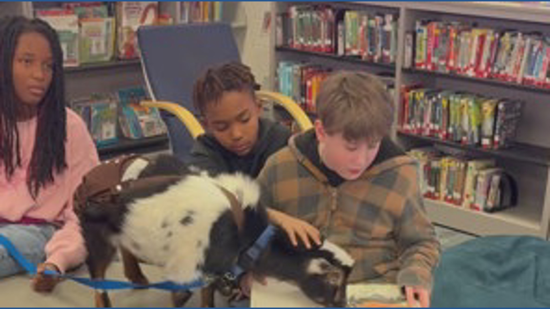 Kids read to goats