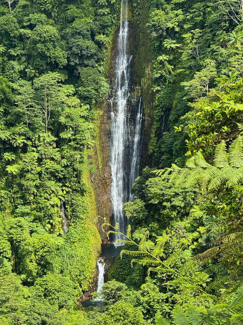 Explore Samoa: Dive into Polynesian culture on this enchanting island