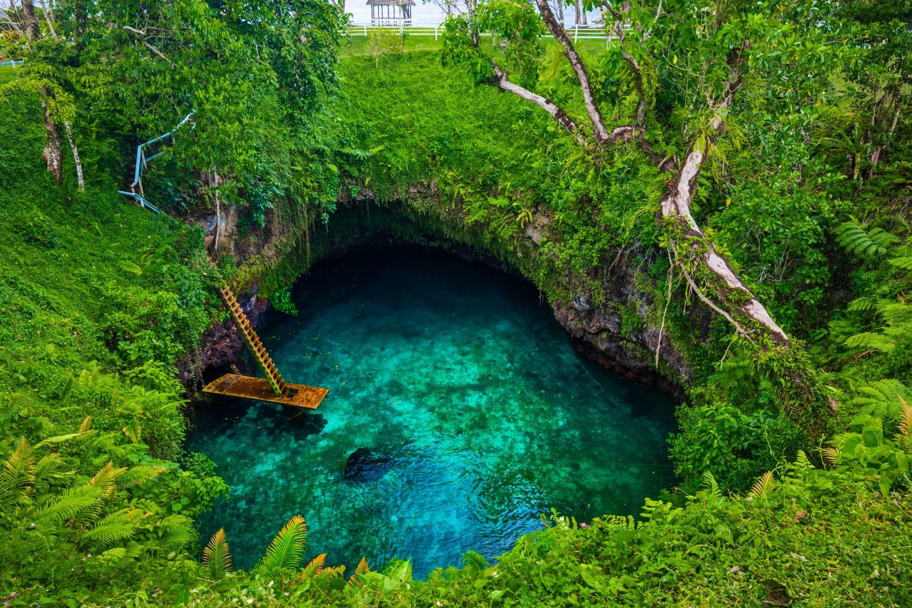 Explore Samoa: Dive into Polynesian culture on this enchanting island