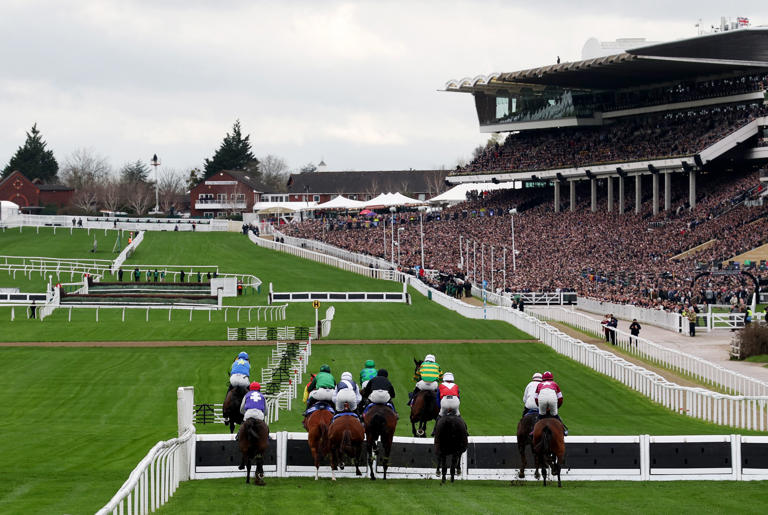Crowds give new-look Cheltenham seal of approval on opening day