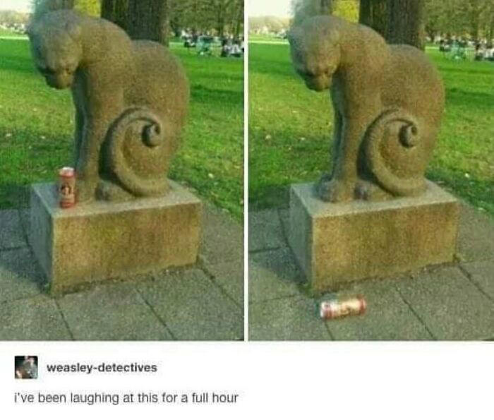 79 cats so ridiculous they became memes