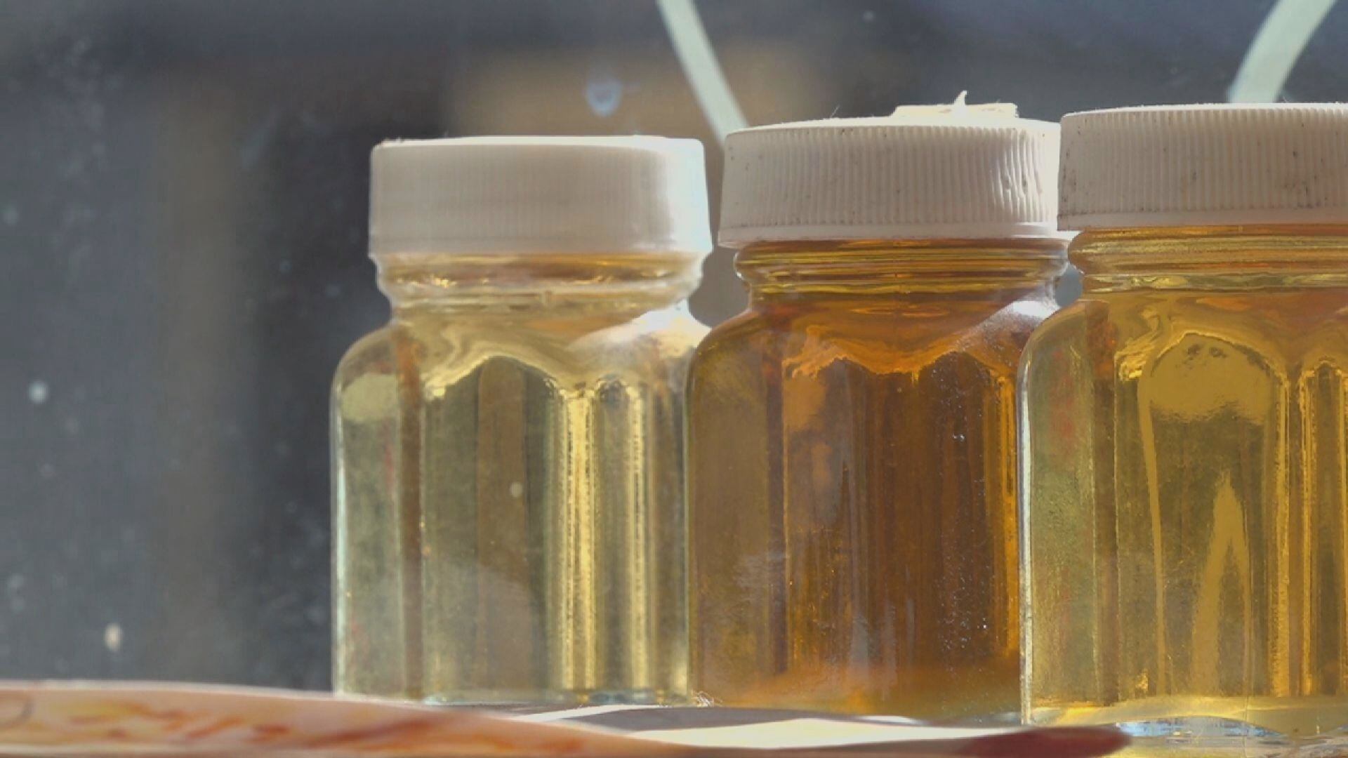 Cold snap slows start to maple season