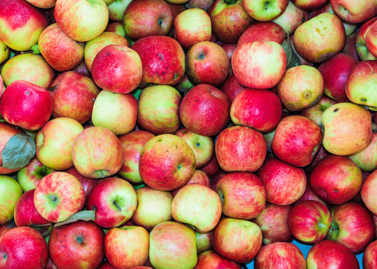 Are bruised apples safe to eat? A food safety expert answers