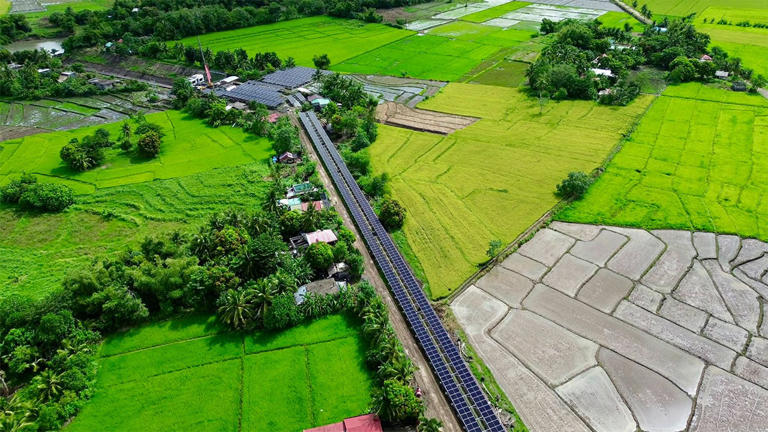 NIA solar irrigation sees stable Bicol rice output amid fuel crisis