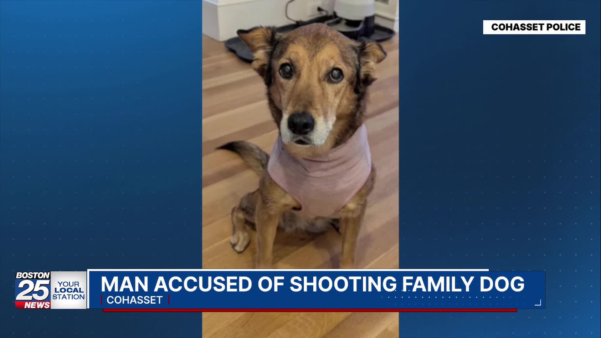 South Shore man accused of killing family dog while hunting coyotes ...