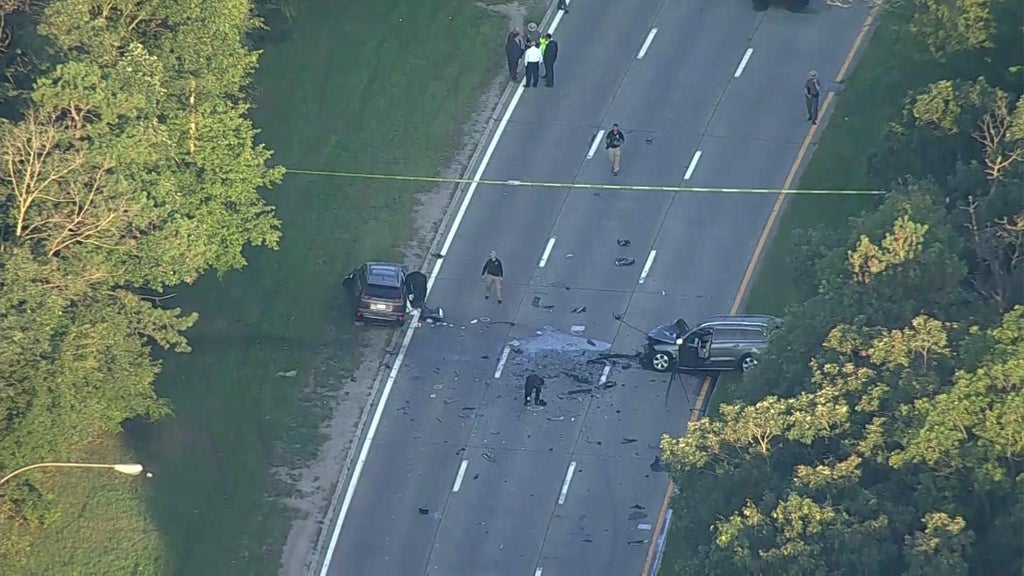 Long Island mom in wrong-way crash that killed her son found not ...