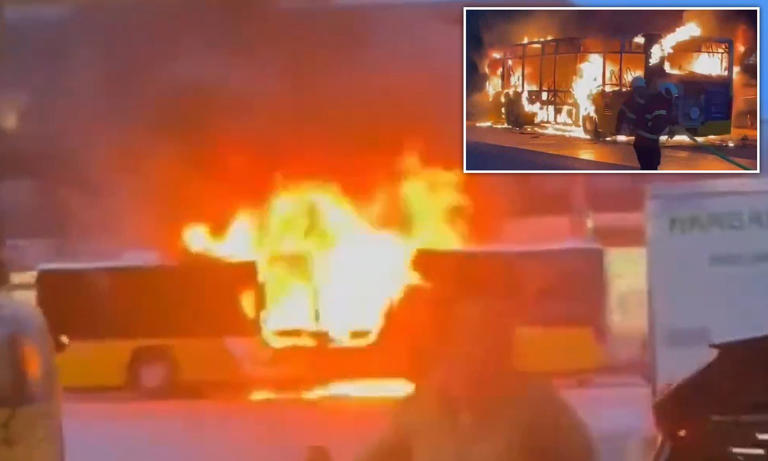 At least six dead 'as man douses himself in petrol and sets himself ...