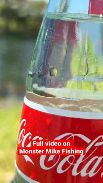 First Coca-Cola fish aquarium