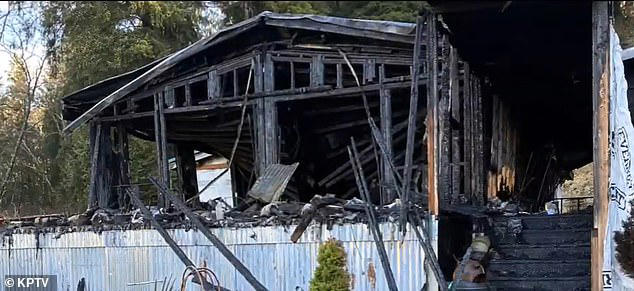 Kitten saves sleeping owner from house fire by scratching his face before  dying in the flames