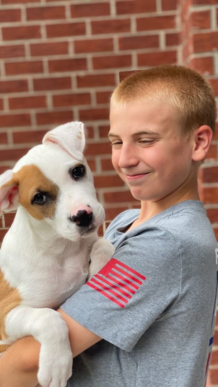 Teen with a mission: 30 dogs whose lives were changed by one boy
