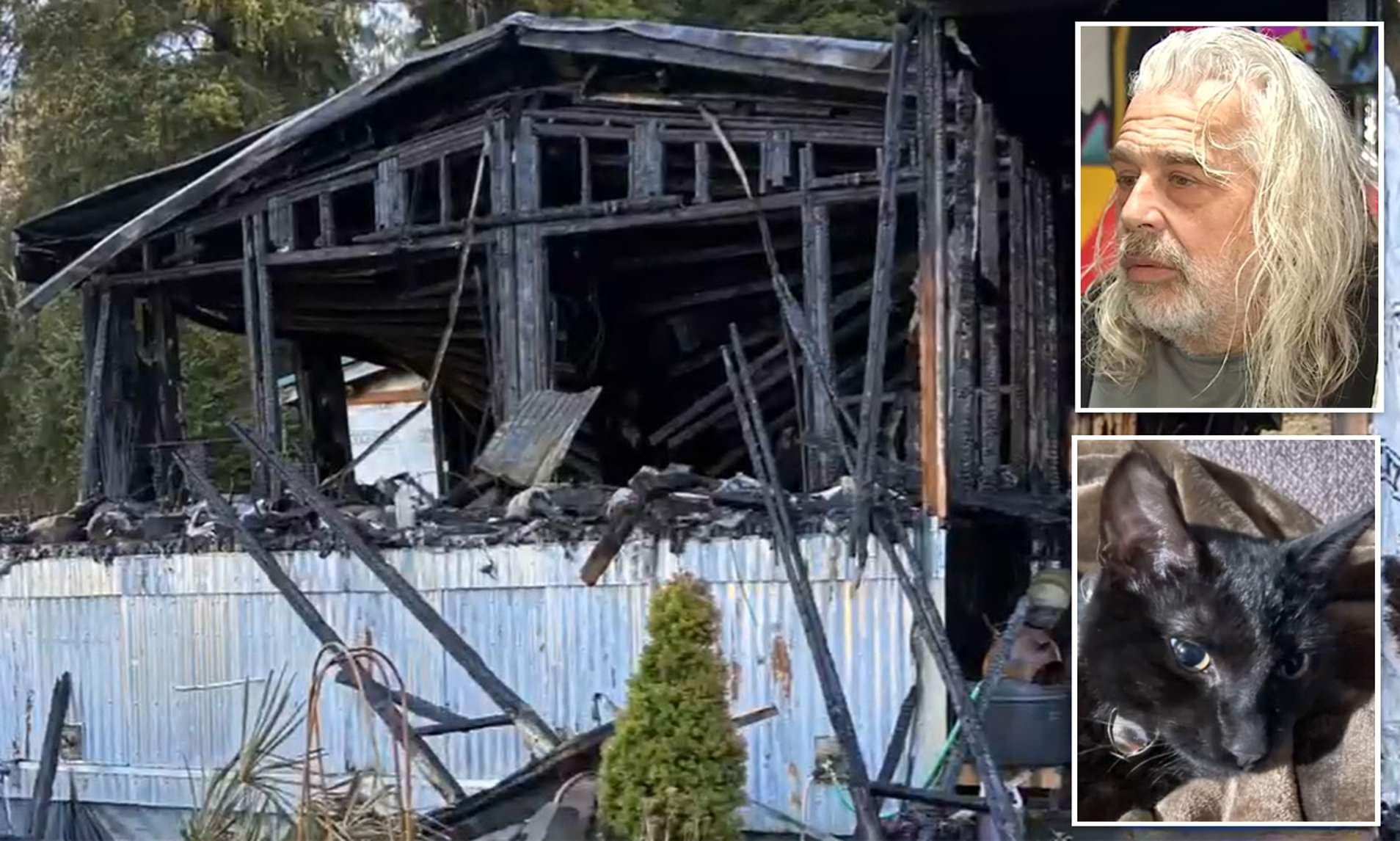Kitten saves sleeping owner from house fire by scratching his face ...
