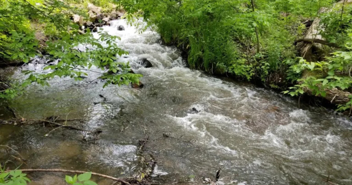 Discover the top-secret springs in Minnesota nobody's ever heard of
