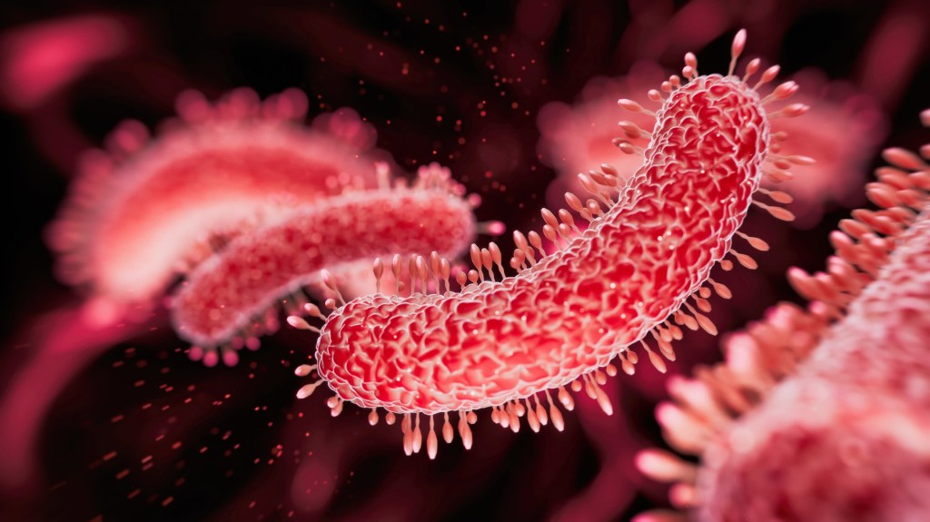 Deadly bug found in taps breaks out in two areas of London
