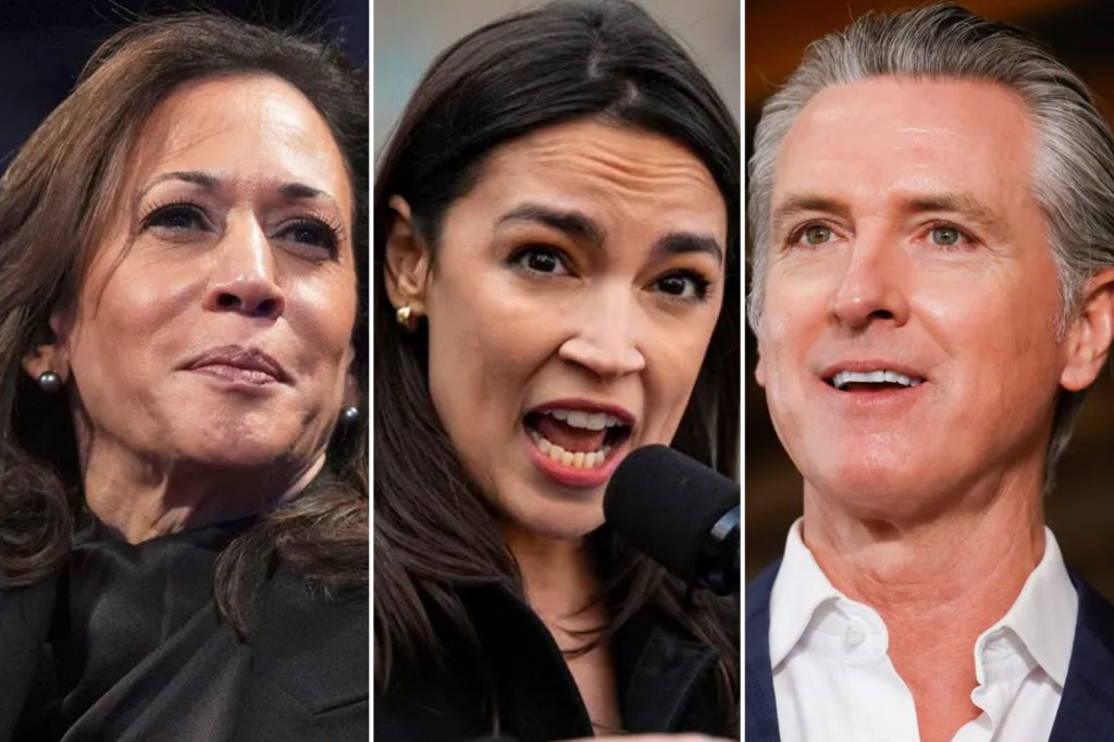 Poll: Americans view ICE more positively than Democrats, Newsom, and AOC