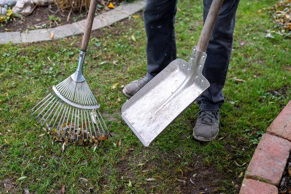 Homeowners must do 1 task in March to ensure green lawns this spring