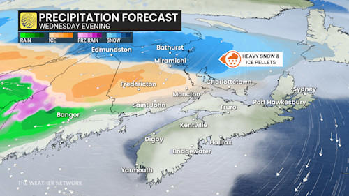 Expect disruptions: Buffet of winter weather bombards Atlantic Canada
