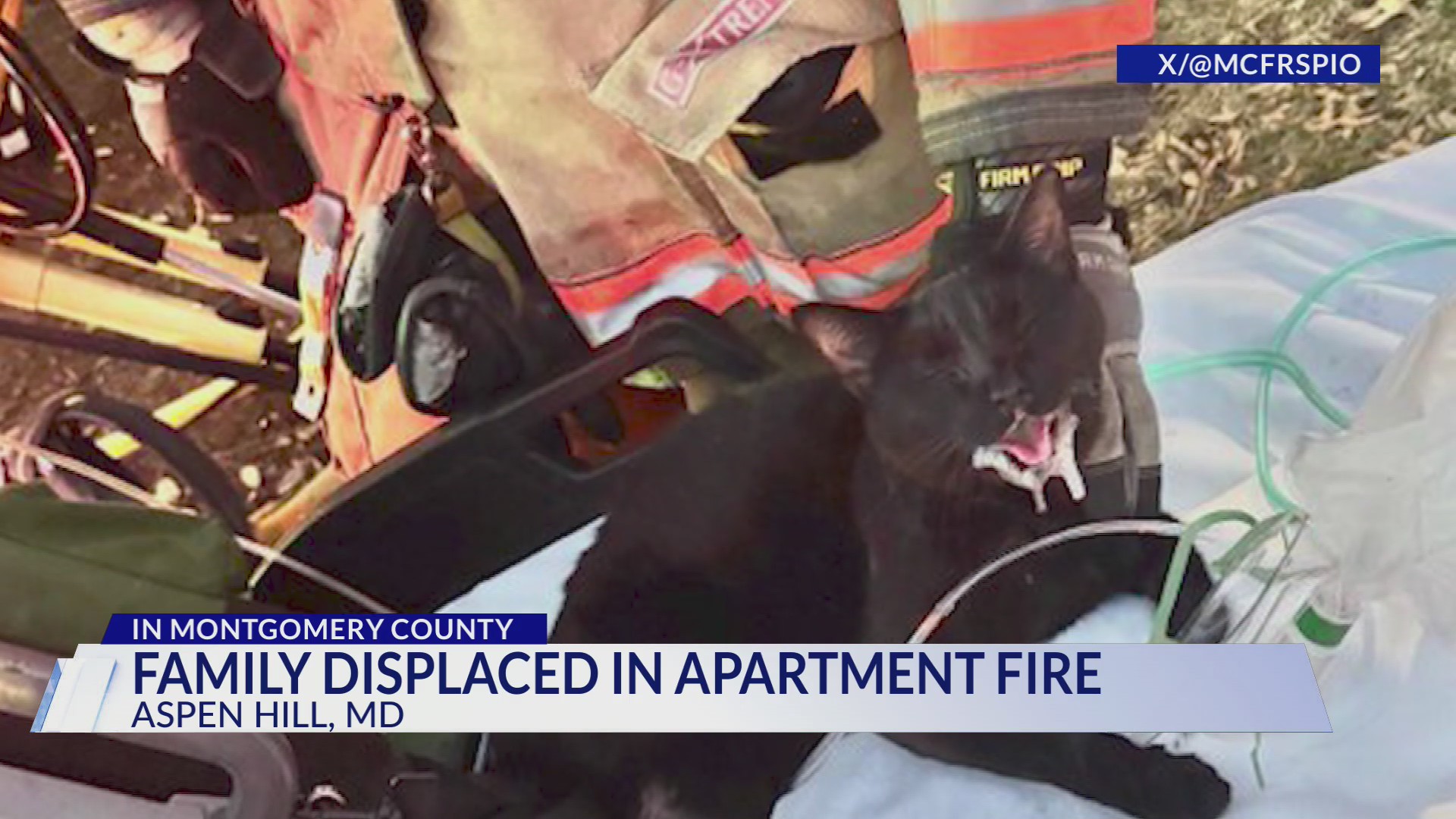 Family displaced, several cats rescued after apartment fire in Aspen Hill