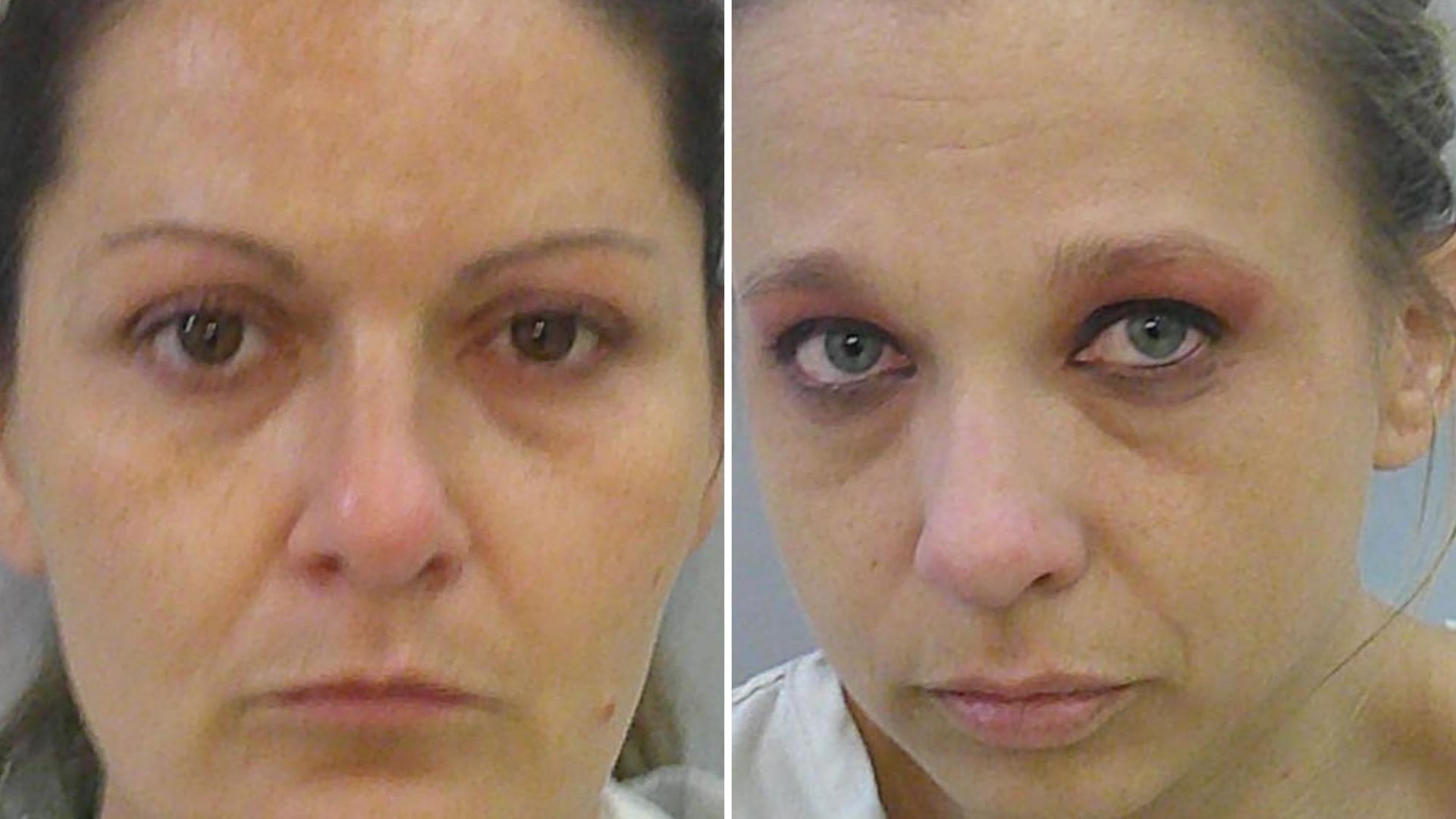Texas women disguised drone to look like bird, flew contraband into prison