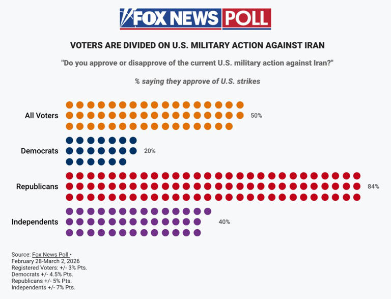 Americans divided on Iran war along party lines: polls
