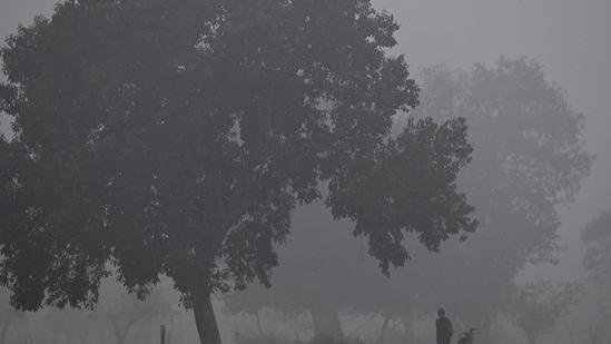 Unseasonal fog and haze blanket Delhi-NCR despite rising March temperatures