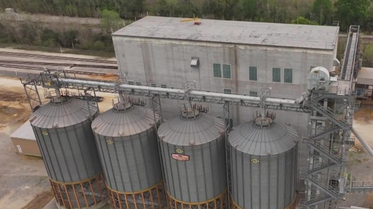 US rice farmers face ruin as they count on tariffs to survive