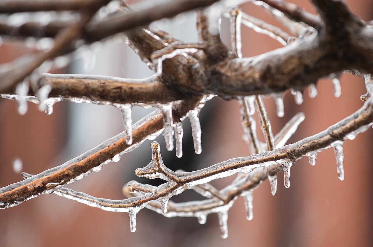 Ice, power outages and school closures coming as freezing rain storm ...